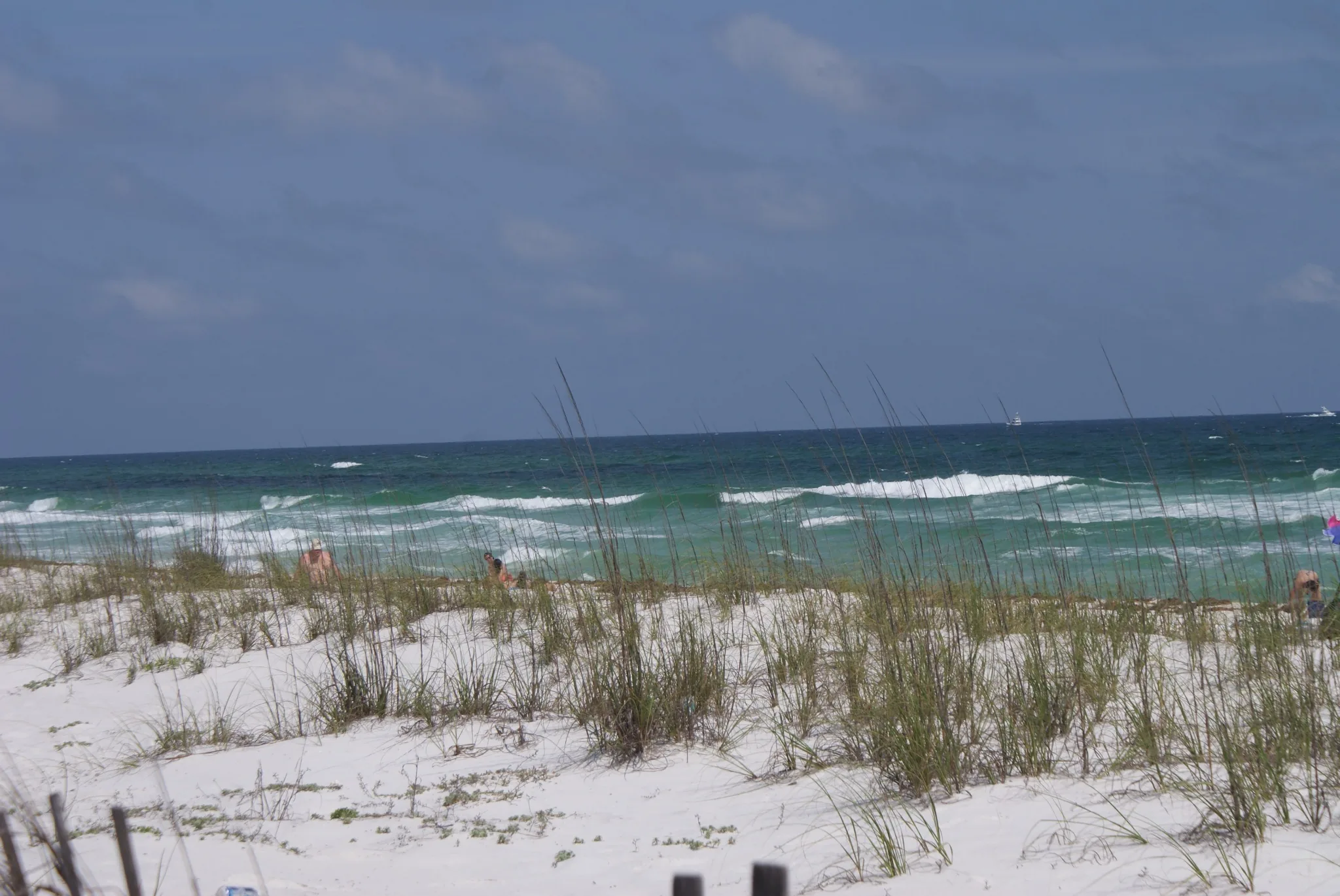 Sea oats and white sand dunes overlooking the Gulf at Navarre Beach