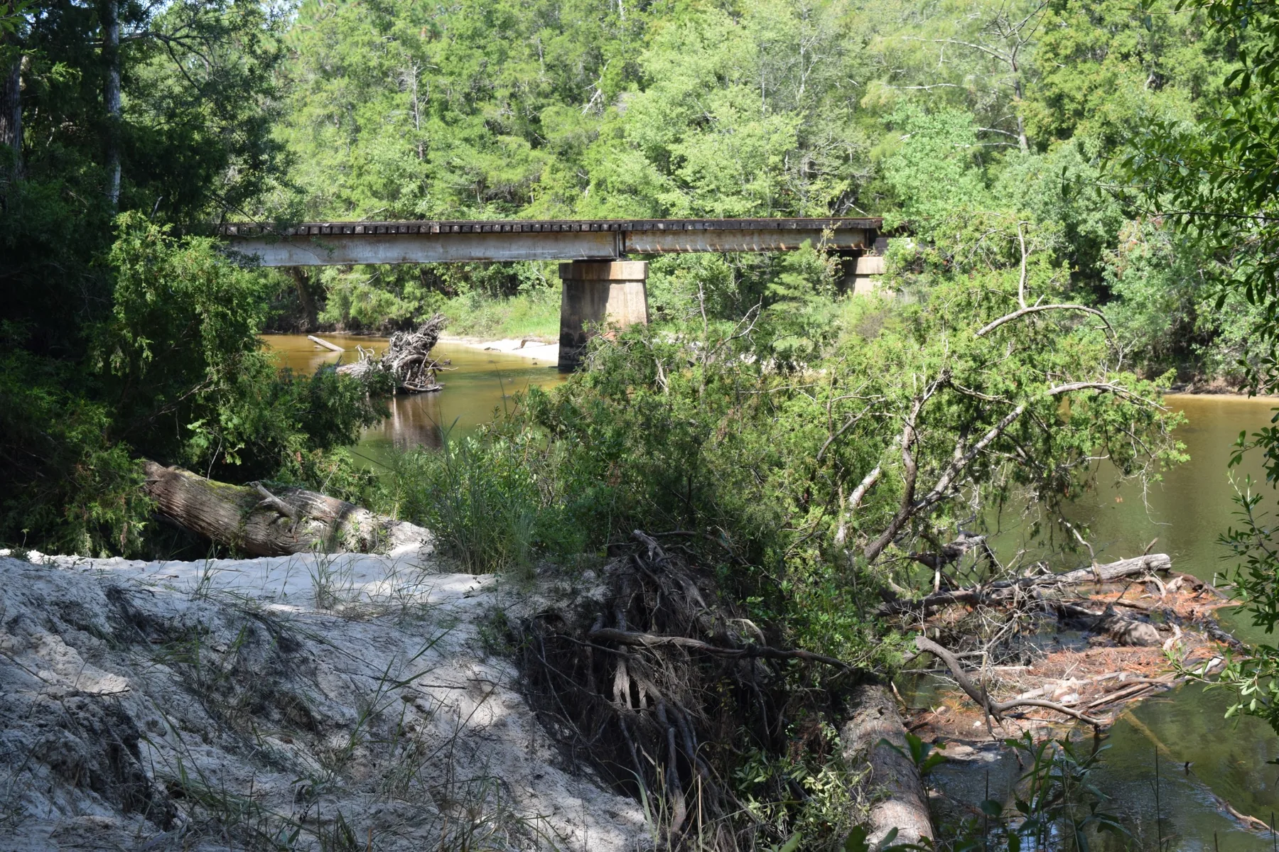 River and wooded landscape in North Escambia County, Florida