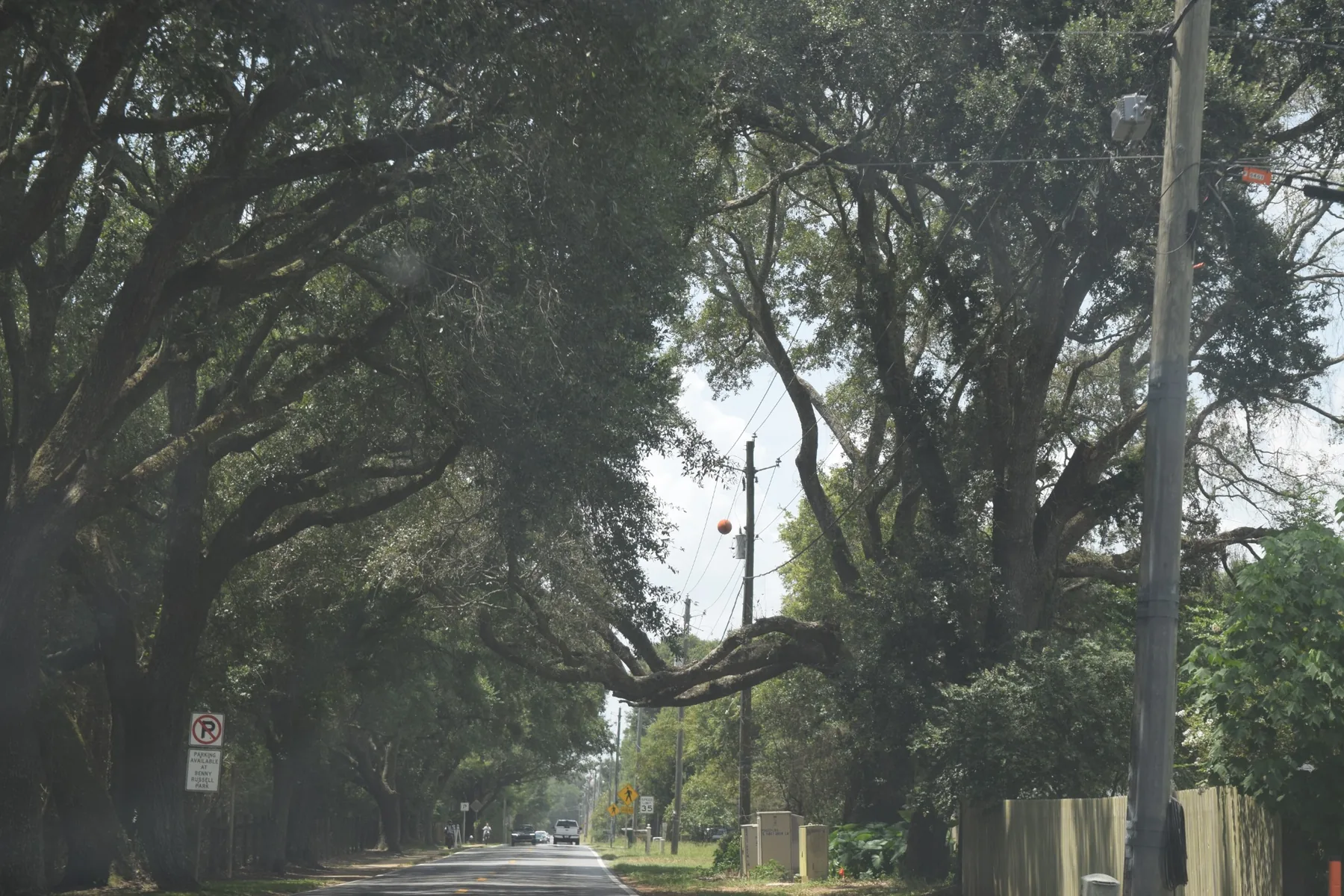 Tree-canopied road in North Escambia County, Florida