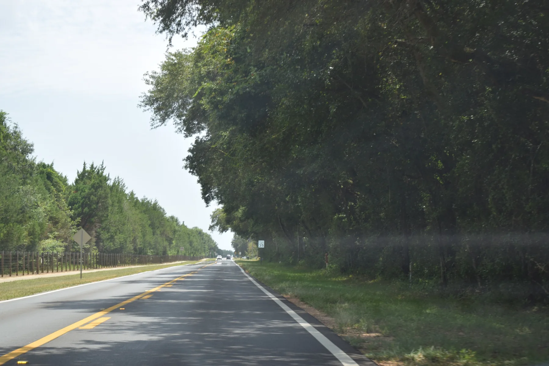 Tree-lined road in Pace, Florida