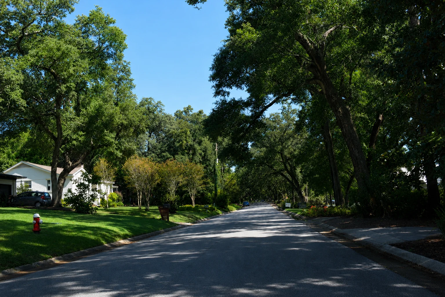 Tree-lined residential street in Scenic Heights, Pensacola