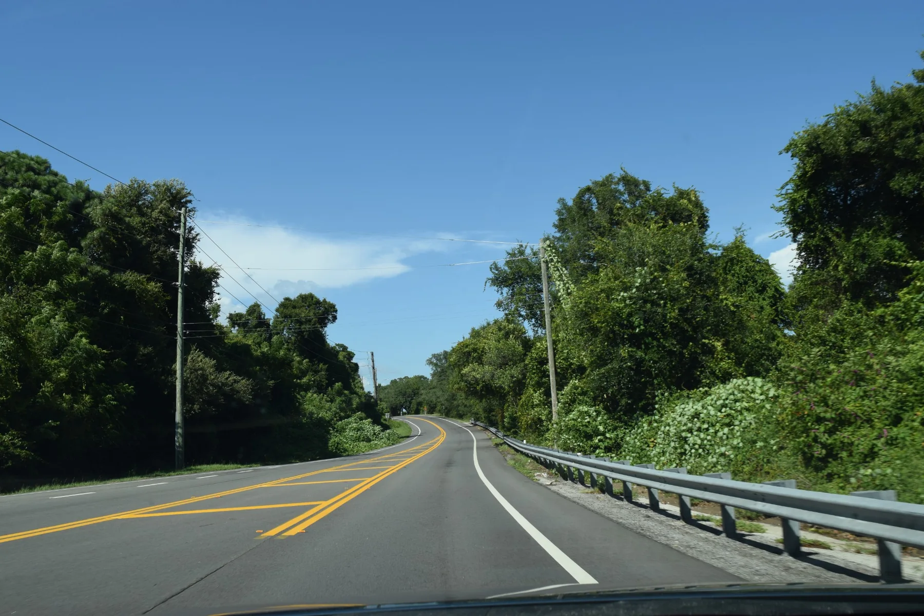 Curving Scenic Highway through mature greenery in Pensacola