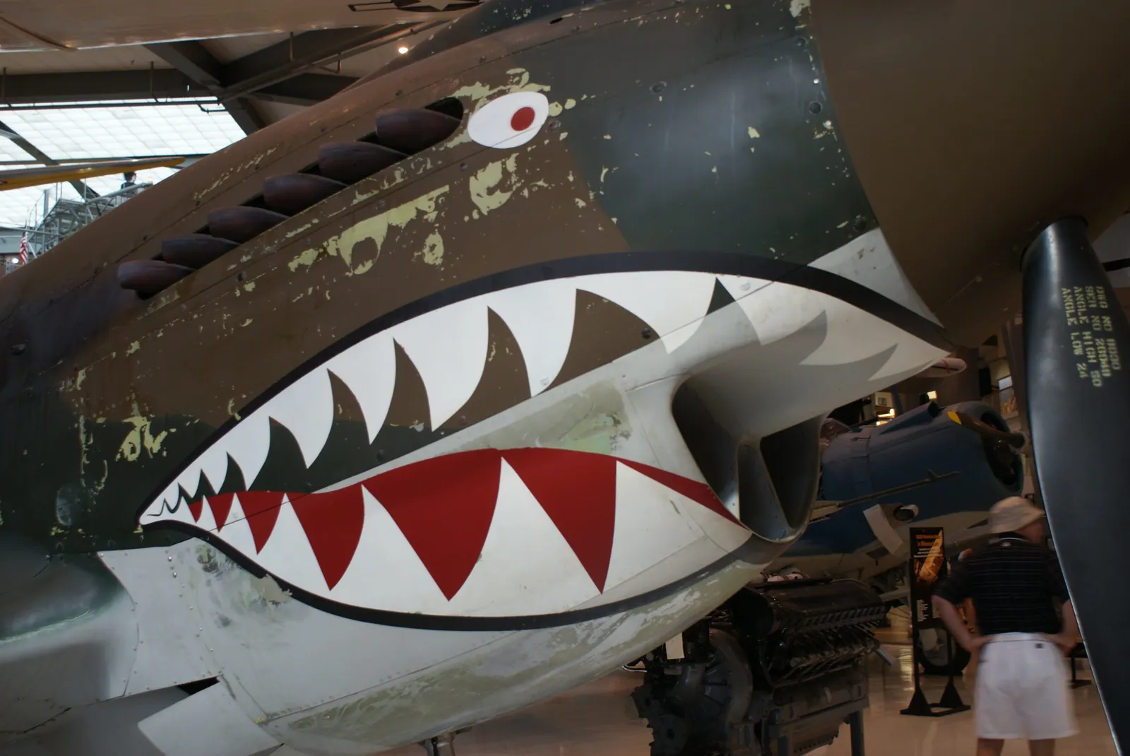 Historic naval aircraft at the National Naval Aviation Museum near Warrington